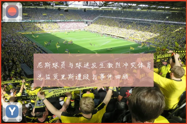 尼斯球员与球迷发生激烈冲突体育总监莫里斯遭殴打事件回顾