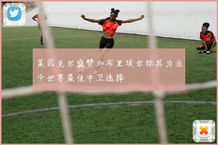莱因克尔盛赞加布里埃尔称其为当今世界最佳中卫选择