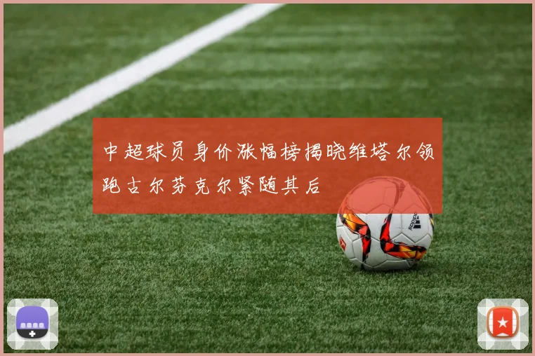 中超球员身价涨幅榜揭晓维塔尔领跑古尔芬克尔紧随其后