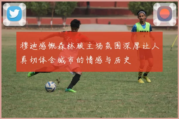 穆迪感慨森林狼主场氛围深厚让人真切体会城市的情感与历史