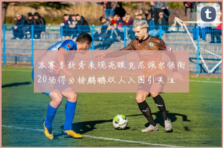 本赛季新秀表现亮眼克尼佩尔领衔20场得分榜鹈鹕双人入围引关注