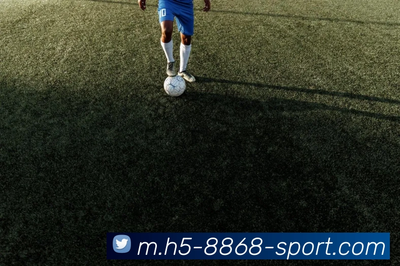 8868体育APP 封面图